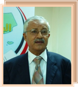 Mr. Abdullah Abdo Saleh